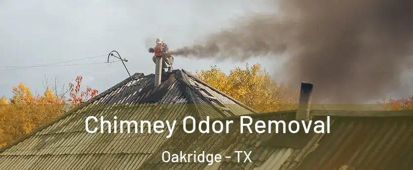 Chimney Odor Removal Oakridge - TX