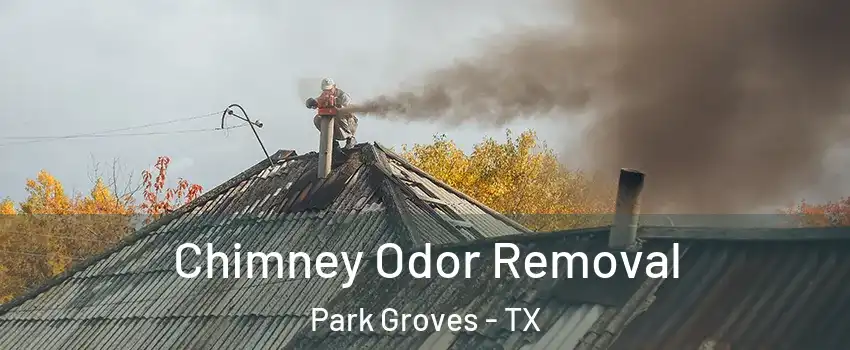 Chimney Odor Removal Park Groves - TX