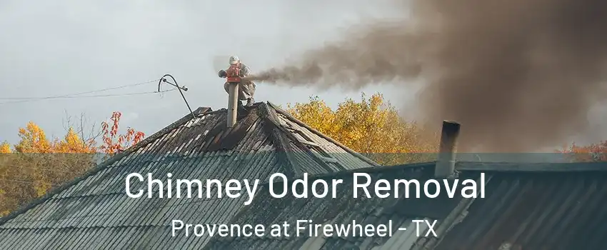 Chimney Odor Removal Provence at Firewheel - TX