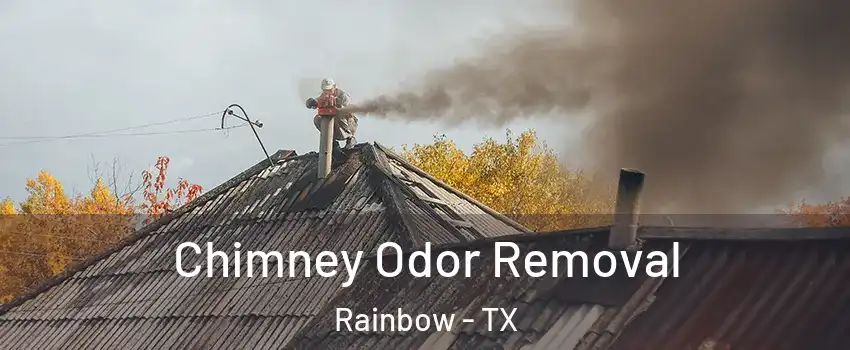 Chimney Odor Removal Rainbow - TX