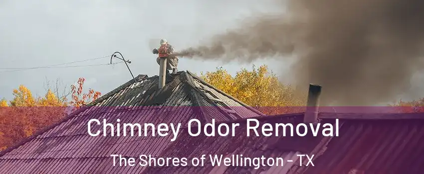 Chimney Odor Removal The Shores of Wellington - TX