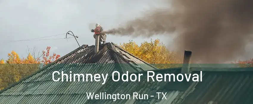 Chimney Odor Removal Wellington Run - TX