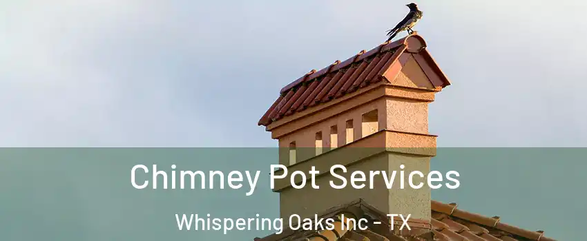 Chimney Pot Services Whispering Oaks Inc - TX