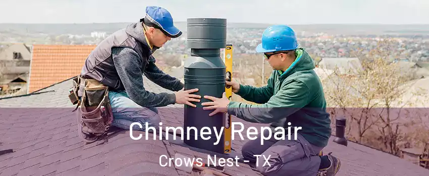 Chimney Repair Crows Nest - TX