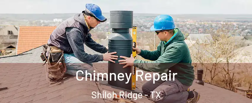 Chimney Repair Shiloh Ridge - TX