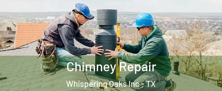 Chimney Repair Whispering Oaks Inc - TX