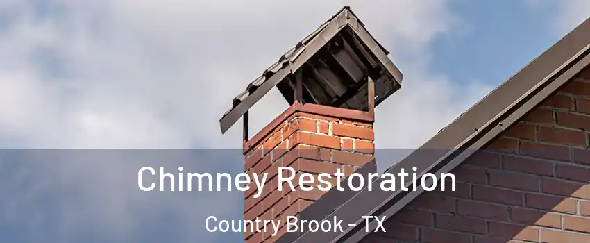 Chimney Restoration Country Brook - TX