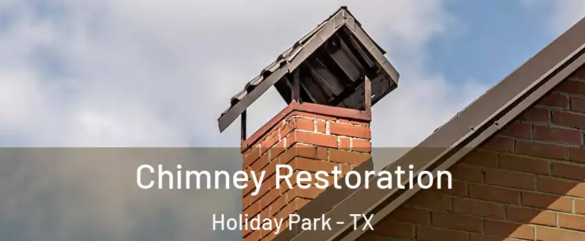 Chimney Restoration Holiday Park - TX