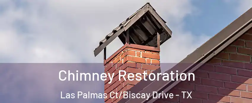 Chimney Restoration Las Palmas Ct/Biscay Drive - TX