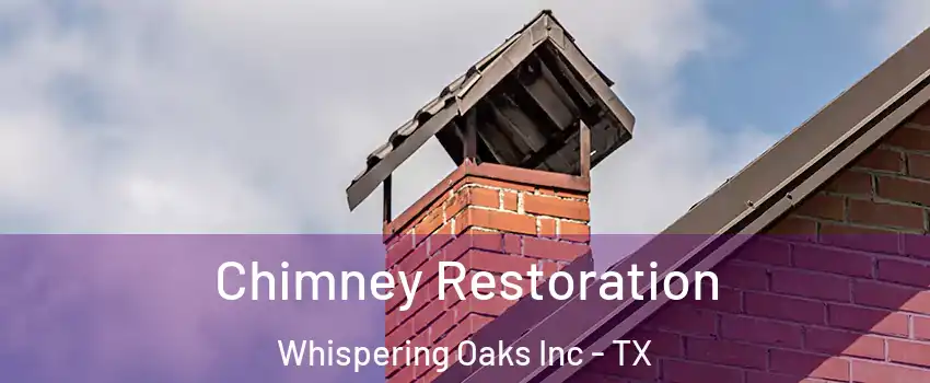 Chimney Restoration Whispering Oaks Inc - TX