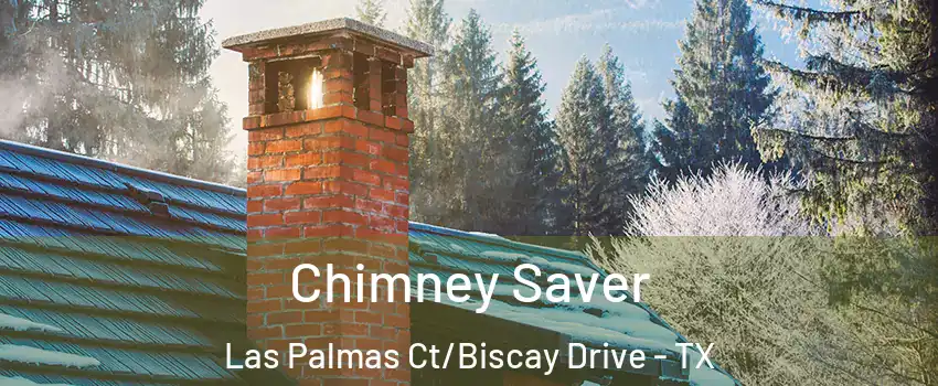 Chimney Saver Las Palmas Ct/Biscay Drive - TX