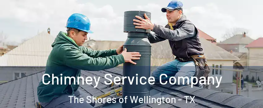 Chimney Service Company The Shores of Wellington - TX