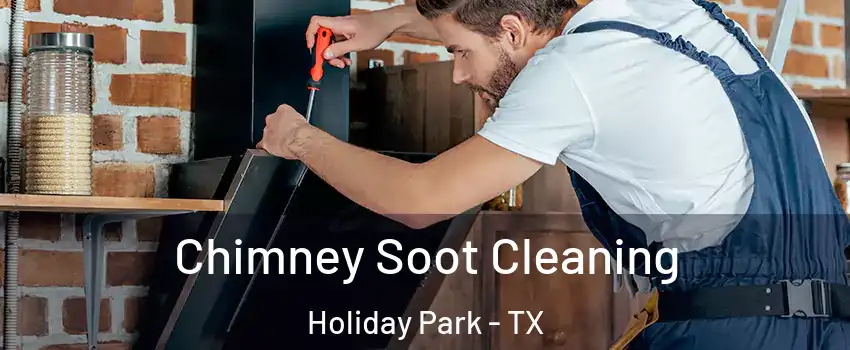 Chimney Soot Cleaning Holiday Park - TX