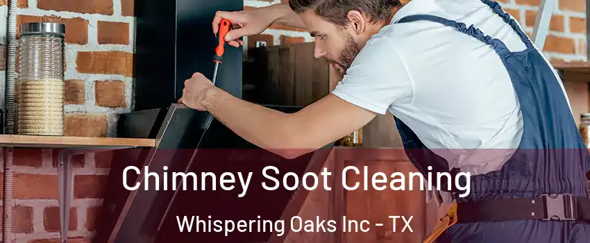 Chimney Soot Cleaning Whispering Oaks Inc - TX