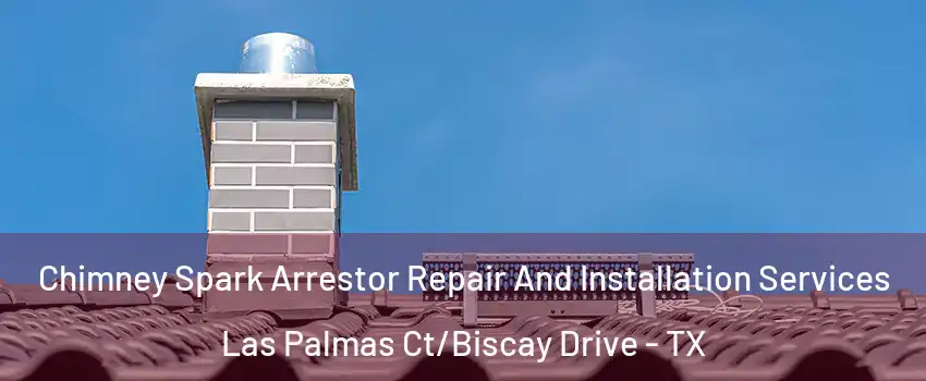 Chimney Spark Arrestor Repair And Installation Services Las Palmas Ct/Biscay Drive - TX