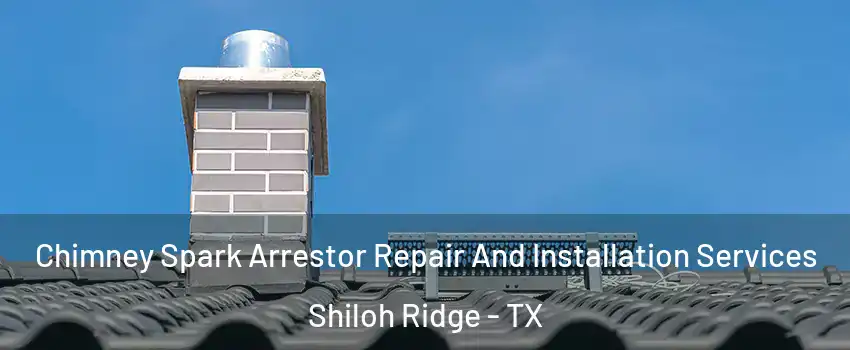 Chimney Spark Arrestor Repair And Installation Services Shiloh Ridge - TX