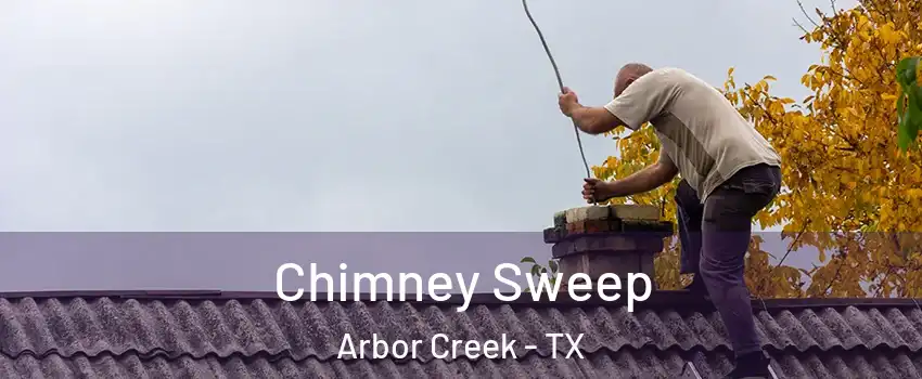 Chimney Sweep Arbor Creek - TX