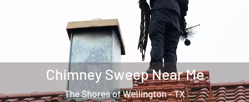 Chimney Sweep Near Me The Shores of Wellington - TX