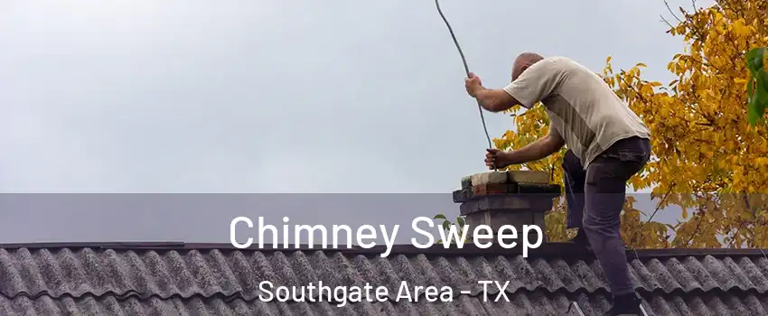 Chimney Sweep Southgate Area - TX