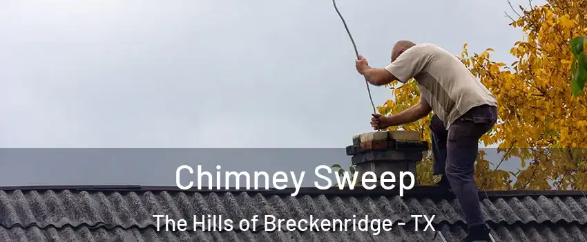 Chimney Sweep The Hills of Breckenridge - TX