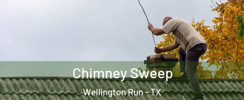 Chimney Sweep Wellington Run - TX