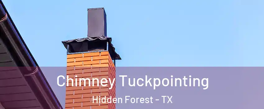 Chimney Tuckpointing Hidden Forest - TX