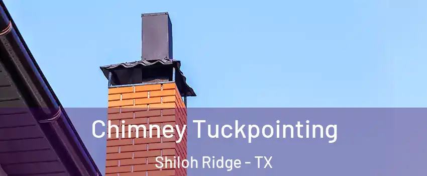 Chimney Tuckpointing Shiloh Ridge - TX