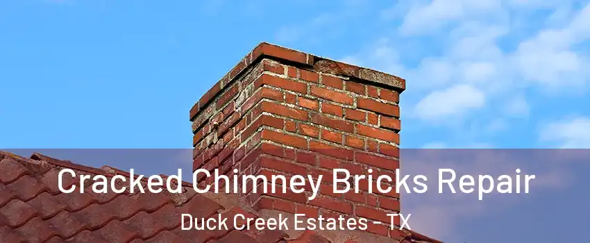 Cracked Chimney Bricks Repair Duck Creek Estates - TX