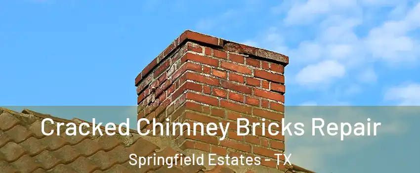 Cracked Chimney Bricks Repair Springfield Estates - TX