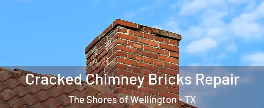 Cracked Chimney Bricks Repair The Shores of Wellington - TX