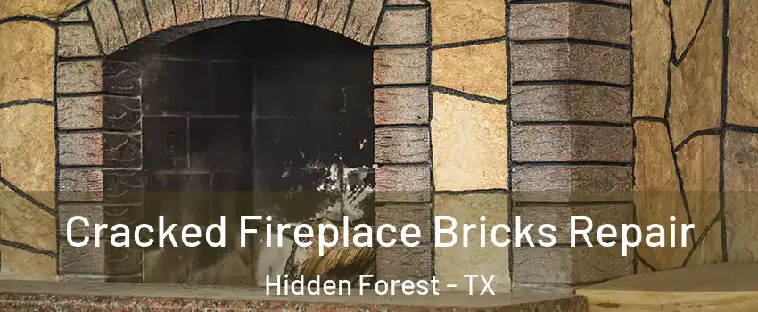 Cracked Fireplace Bricks Repair Hidden Forest - TX