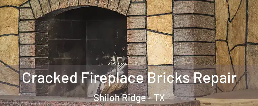 Cracked Fireplace Bricks Repair Shiloh Ridge - TX