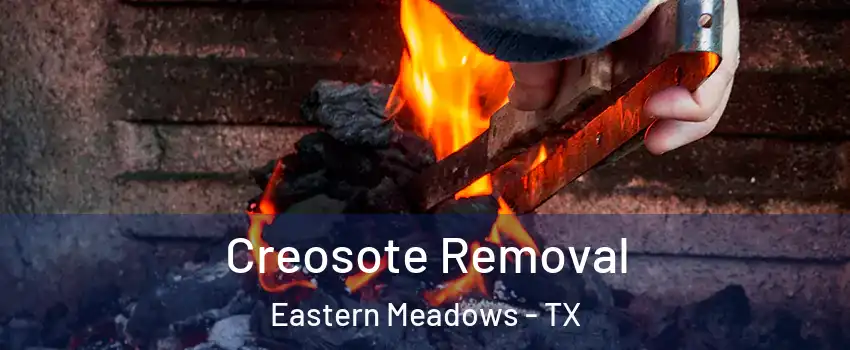 Creosote Removal Eastern Meadows - TX