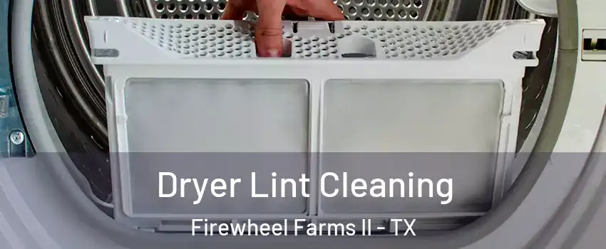 Dryer Lint Cleaning Firewheel Farms II - TX