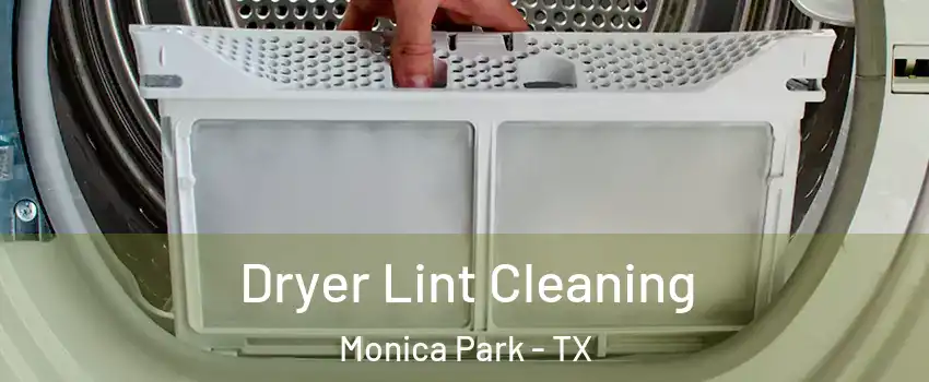 Dryer Lint Cleaning Monica Park - TX