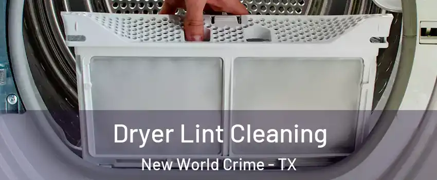 Dryer Lint Cleaning New World Crime - TX