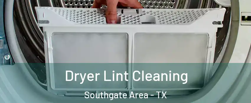 Dryer Lint Cleaning Southgate Area - TX