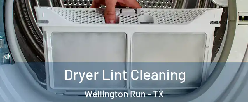 Dryer Lint Cleaning Wellington Run - TX