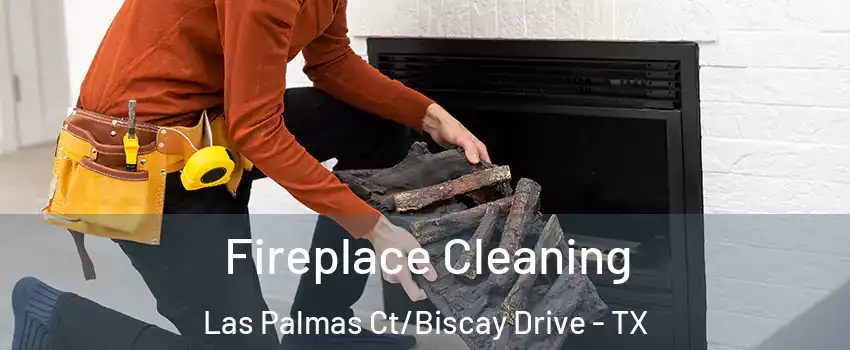 Fireplace Cleaning Las Palmas Ct/Biscay Drive - TX