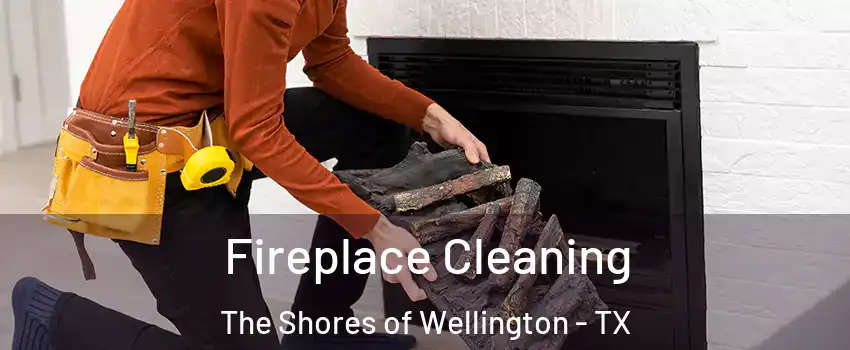 Fireplace Cleaning The Shores of Wellington - TX