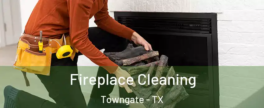 Fireplace Cleaning Towngate - TX