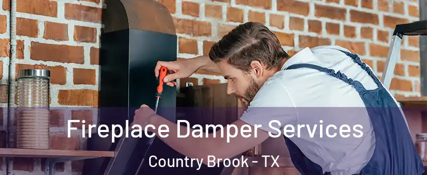 Fireplace Damper Services Country Brook - TX