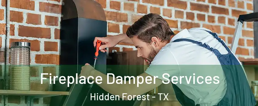 Fireplace Damper Services Hidden Forest - TX