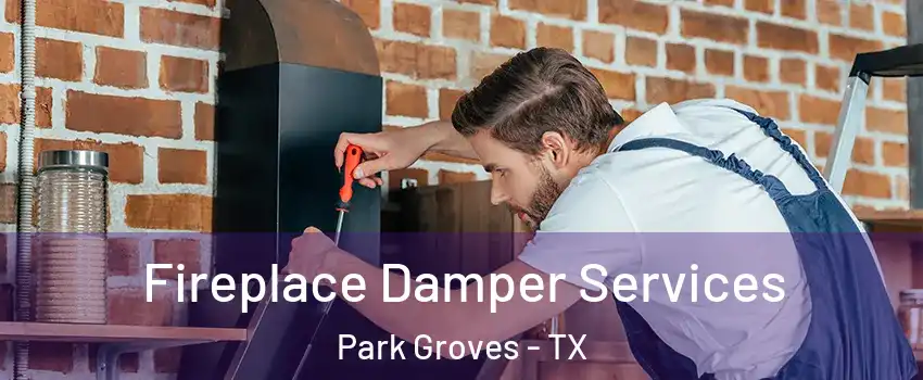 Fireplace Damper Services Park Groves - TX