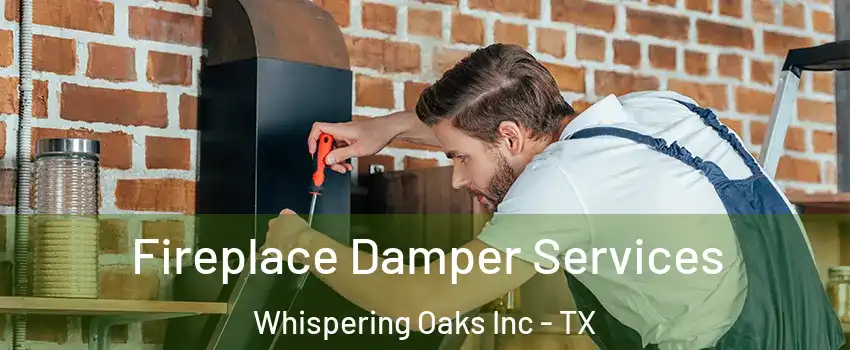 Fireplace Damper Services Whispering Oaks Inc - TX