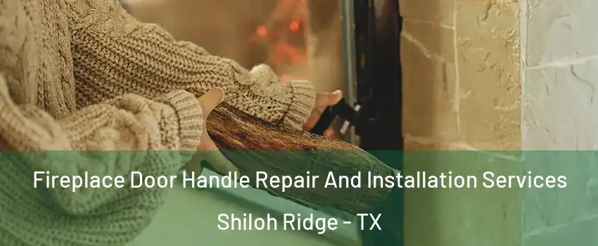 Fireplace Door Handle Repair And Installation Services Shiloh Ridge - TX