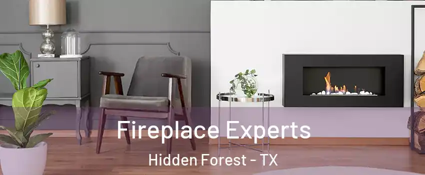 Fireplace Experts Hidden Forest - TX