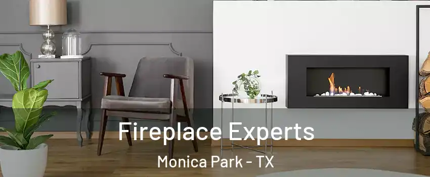 Fireplace Experts Monica Park - TX