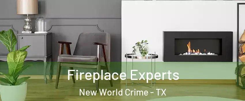 Fireplace Experts New World Crime - TX