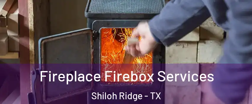 Fireplace Firebox Services Shiloh Ridge - TX